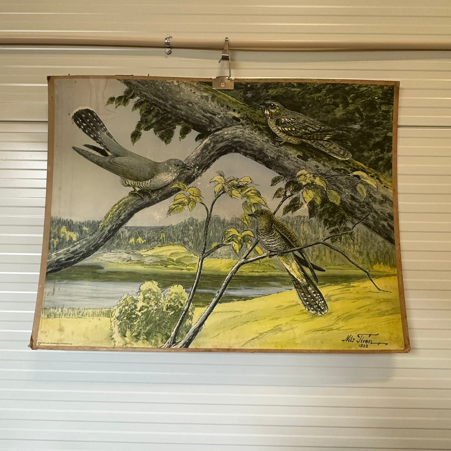 Gammel skole plakat med fugler - av Nils Tiren 1932